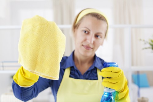 Cleaner, softer carpet flooring after professional treatment