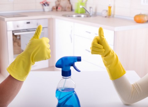 Professional carpet cleaning in a Chalk Farm living room
