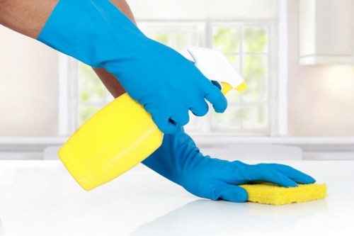 Illustration of accessible website support for Chalk Farm Carpet Cleaners