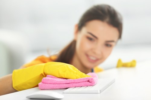 Specialist curtain cleaning process in Chalk Farm apartment